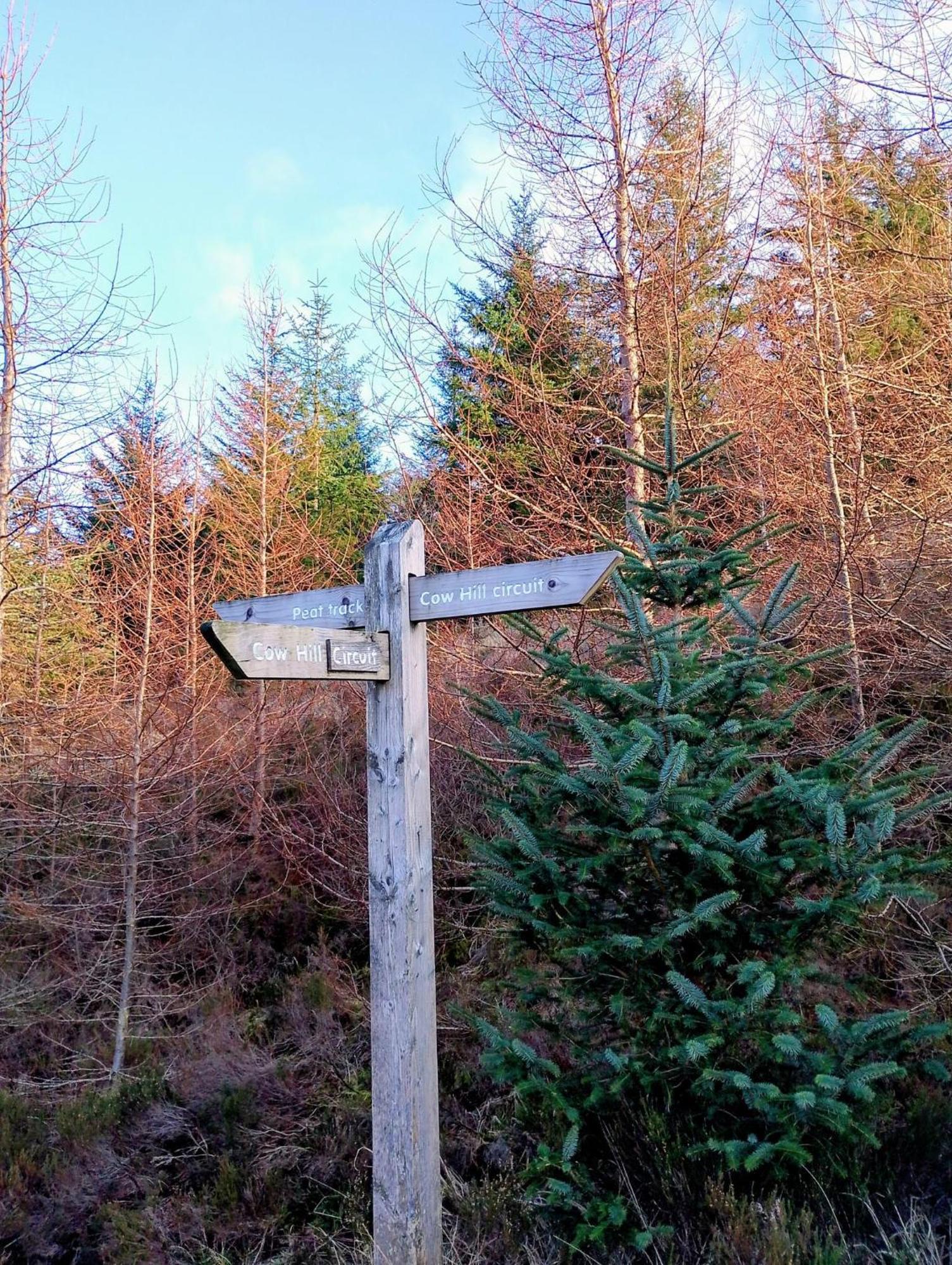 Smiddy House Bed and Breakfast Spean Bridge Εξωτερικό φωτογραφία